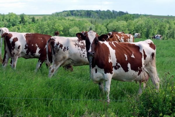 4840648238_657dfdf2f9_c