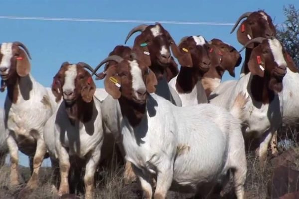 ghnw20151022-083715-994