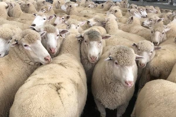 zxxxxxxxxxxxxxxxxxxx